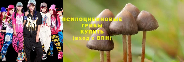 PSILOCYBIN Зеленодольск