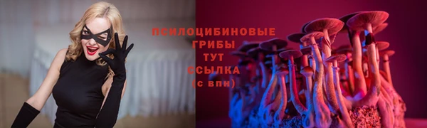 PSILOCYBIN Зеленодольск