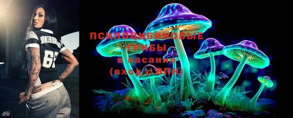 PSILOCYBIN Зеленодольск