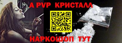шишки Гай
