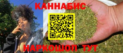 шишки Гай