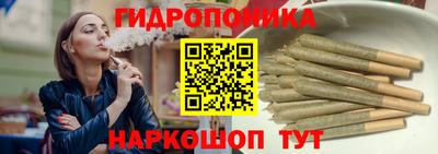 шишки Гай