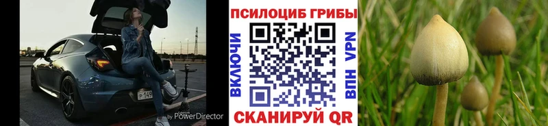 что такое наркотик  Краснокаменск  Галлюциногенные грибы прущие грибы 