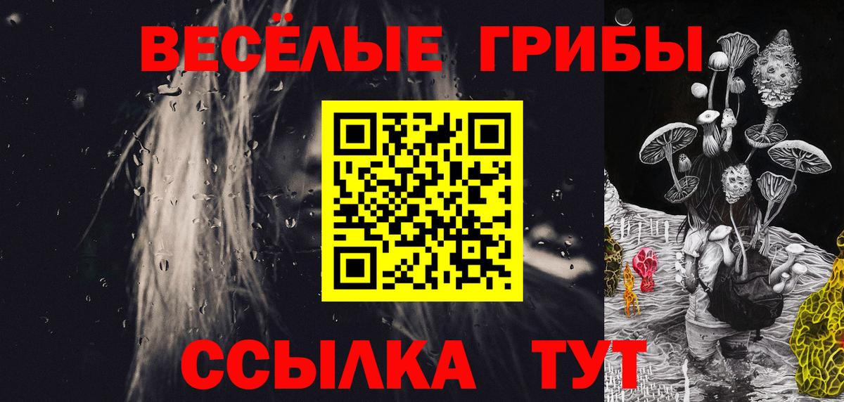 Краснокаменск  Галлюциногенные грибы прущие грибы  Вход с VPN 